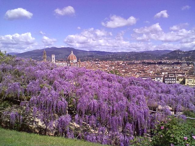 Villa-bardini-glicine-ambiente-toscana