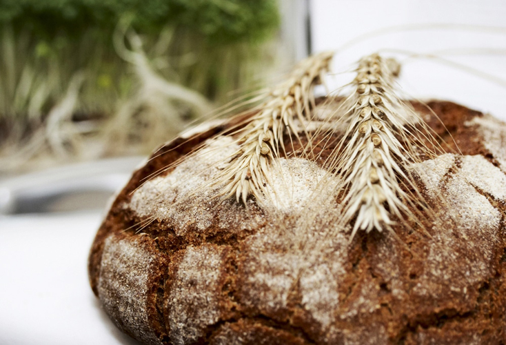 pane-grani-antichi-ambiente-toscana