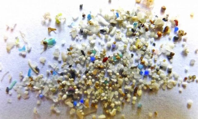 microplastiche-tirreno-ambiente-toscana