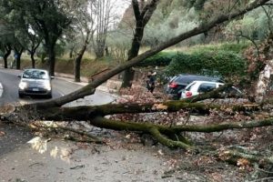 Maltempo in Mugello_Segnalazione danni