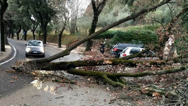 Maltempo in Mugello_Segnalazione danni