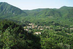 Castagno d’Andrea. (Foto da www.parcoforestecasentinesi.it).