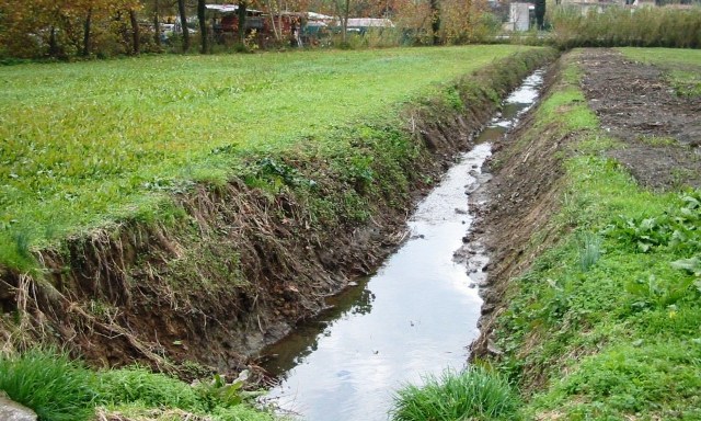 Sfalci_Toscana