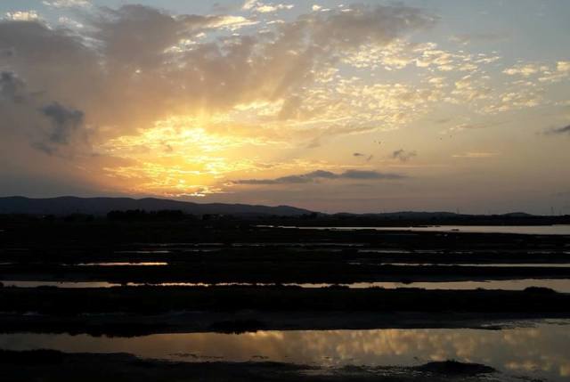 Foto dal post di Oasi WWF RNR Padule Orti Bottagone