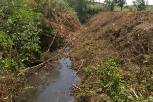 Il torrente Sorra dopo la "ripulitura" degli argini (foto Wwf Toscana)