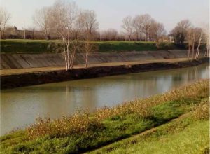 Arno, Firenze, riva sx a valle della Pescaia dell'Isolotto (foto di Daniela Burrini)