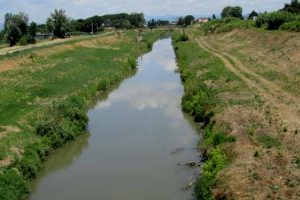 Il canale Imperiale (Pisa) dopo lo sfalcio eseguito in primavera (foto di Marco Dinetti)