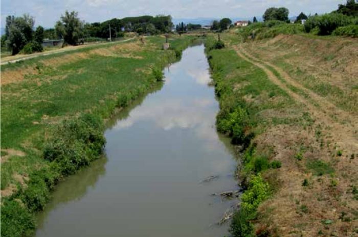 Il canale Imperiale (Pisa) dopo lo sfalcio eseguito in primavera (foto di Marco Dinetti)