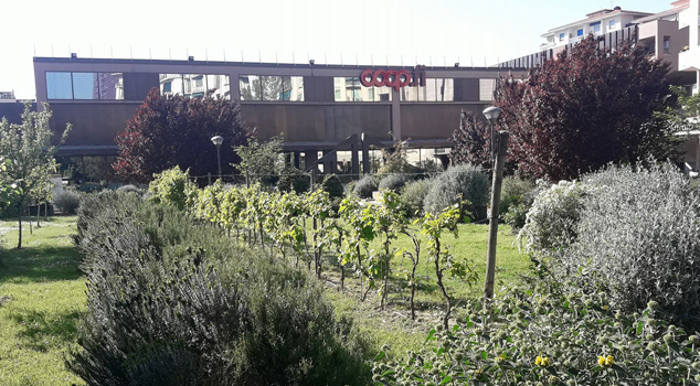 Terza Piazza Coop in piazza Pietro Leopoldo a Firenze. (Foto dall'omonima pagina Facebook).