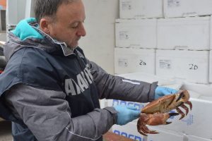 Foto da Carabinieri-Comando provinciale di Firenze.