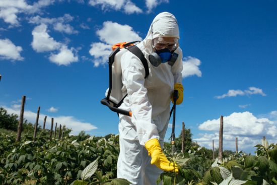 Industrial agriculture theme. Man spraying toxic pesticides or i