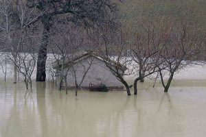 Foto da www.protezionecivile.gov.it