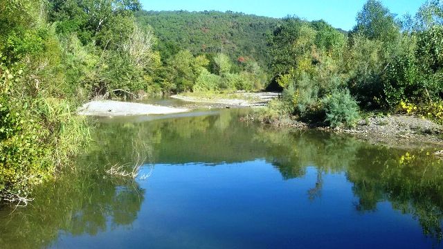 Sabbia fluviale biologica pura, pulita e perfetta per le tue esigenze di  paesaggistica e giardinaggio, esplora la bellezza e i vantaggi della sabbia  fluviale naturale -  Italia