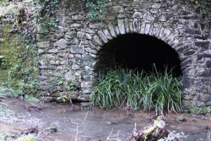 Grotta del Ritrecine Mulino di Bongi