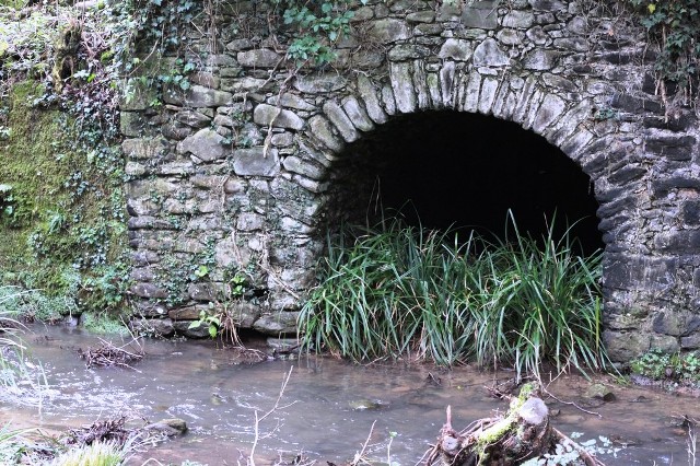 Grotta del Ritrecine Mulino di Bongi