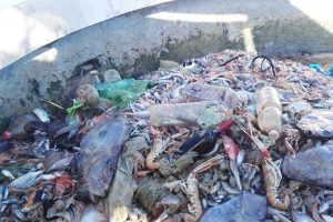 pescatori-bocca-di-serchio-plastica-toscana-ambiente