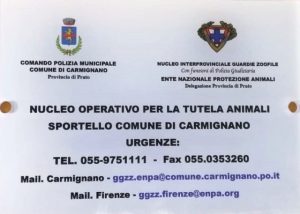 Carmignano_sportello animali.1