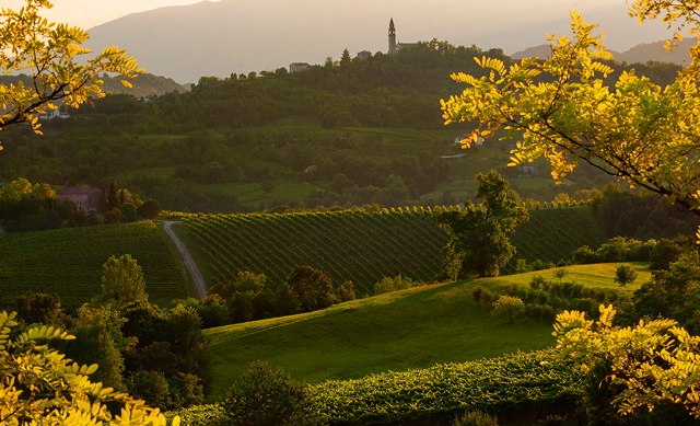 Colline prosecco