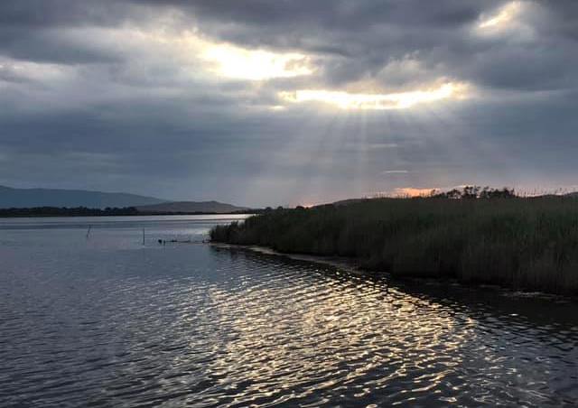 Oasi Lago di Burano_1