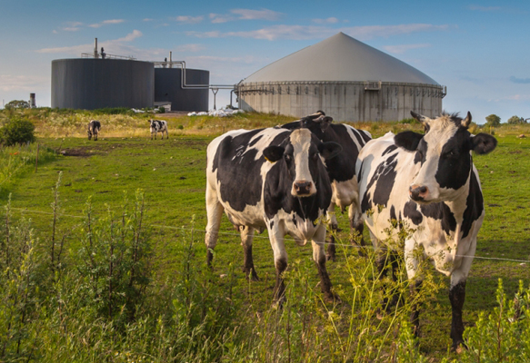 biogas-toscana-ambiente