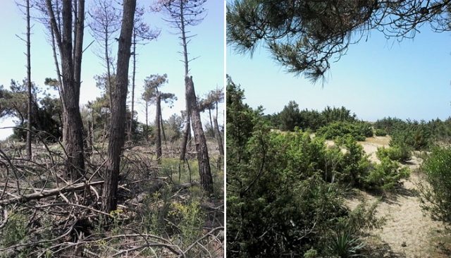 A sinistra la situazione attuale, a destra l'obiettivo dopo i lavori. (Foto da Parco MSRM).