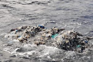 Foto Capitaneria di Porto di Portoferraio