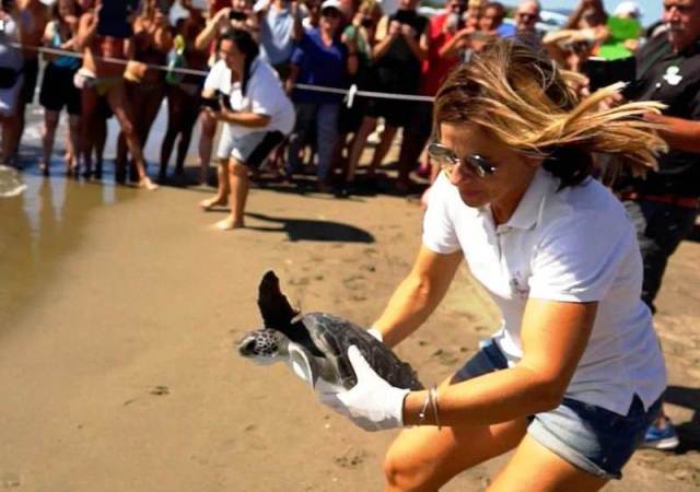 La dottoressa Luana Papetti libera Nausicaa (foto tartAmare)