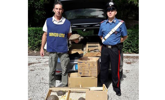 Foto da Comando provinciale dei Carabinieri di Firenze