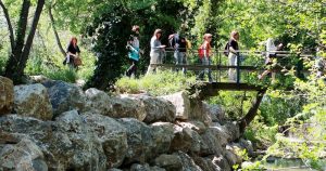 Escursione nella tenuta di Paganico