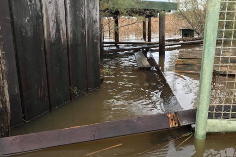 Pontili e strutture di fruizione distrutti dall'acqua