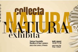 natura-collecta-exhibita-firenze-toscana-ambiente