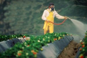 pesticidi-pistoia-vivai-toscana-ambiente