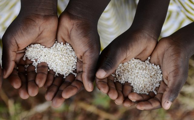 alimentazione-toscana-ambiente