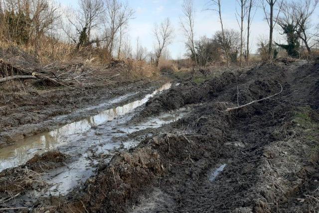 Il fiume Cecina (foto WWF Toscana)