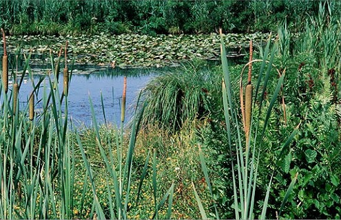 Il lago di Sibolla