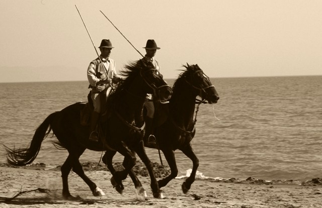 Maremma butteri a cavallo