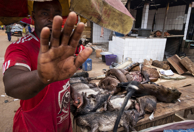 Brent Stirton, Siena Awards, Toscana ambiente.