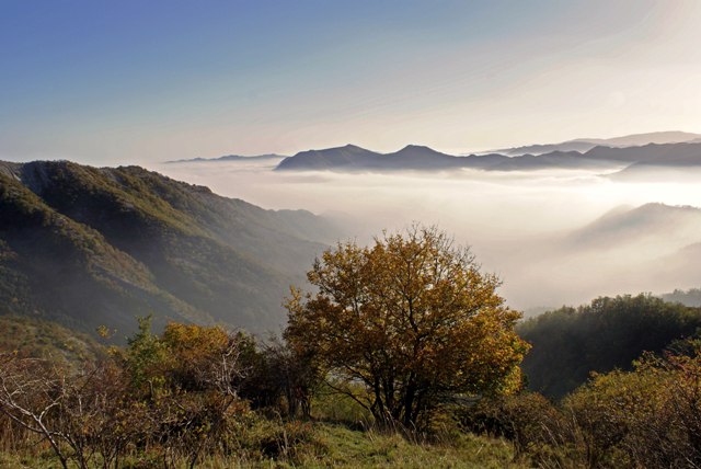 Parco Foreste Casentinesi