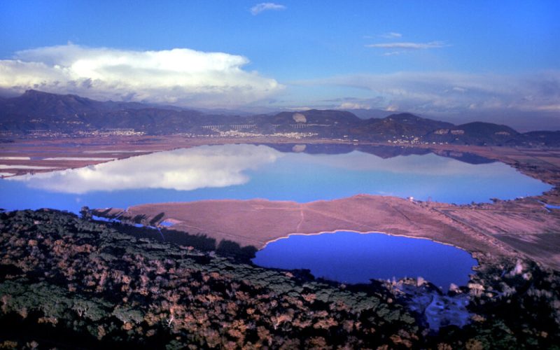 lago Massaciuccoli