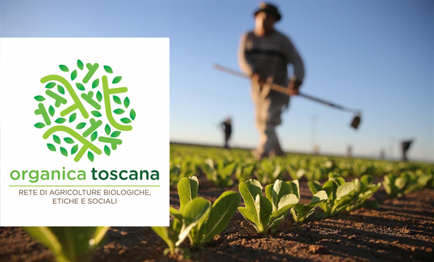 Welfare vede e agricoltura sociale e biologica in Toscana per Coldiretti, ambiente.