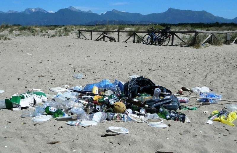 'Spiagge Pulite' alla Lecciona, per non disturbare il fratino i volontari puliranno lo sterrato