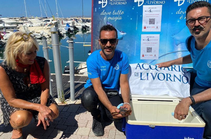 staff Acquario Livorno tartaruga