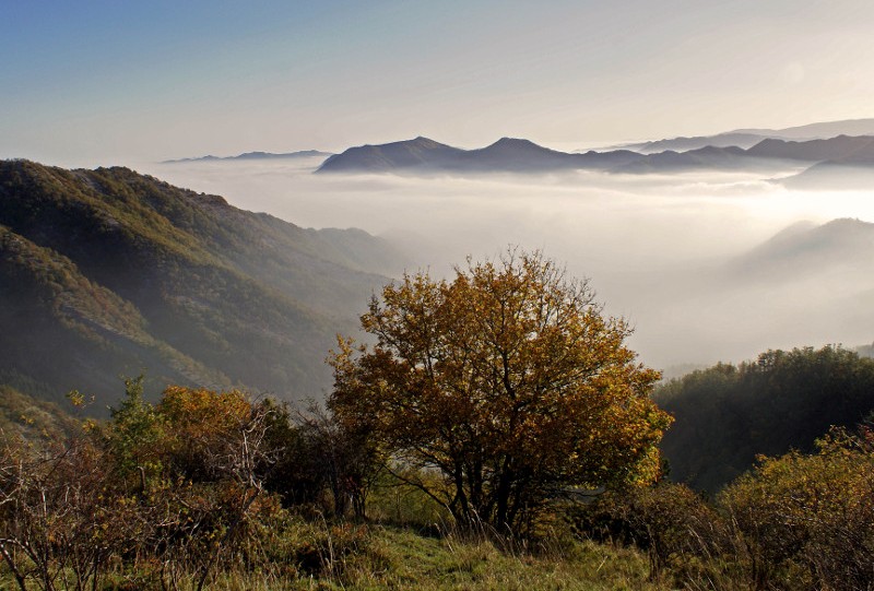 Parco foreste casentinesi