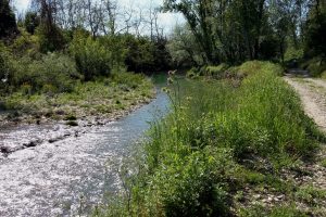 fiume-torrente-Pesa