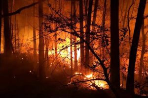 Fuoco e fiamme in Toscana, circa 400 ettari di bosco andati in fumo ad agosto 2021.