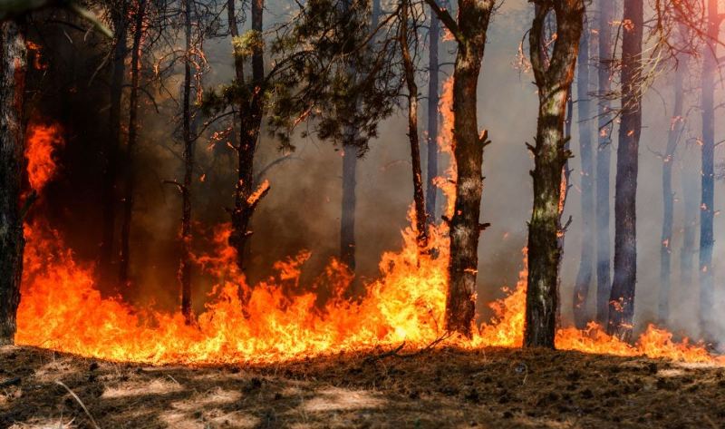 incendi boschivi Toscana