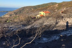 incendio Elba Toscana-ambiente