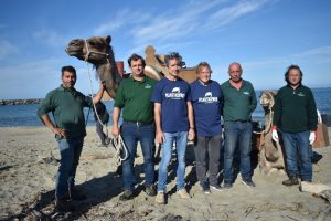 Rossore spiaggia dromedari Toscana-ambiente