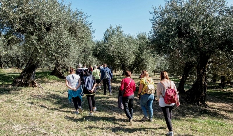 oleoturismo camminata Toscana-Ambiente