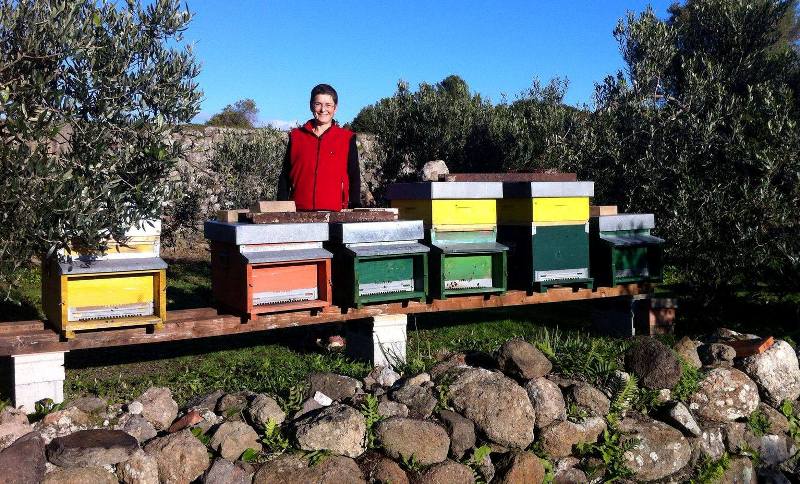 alveari biodiversità_Toscana-ambiente